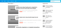 Media Project 2